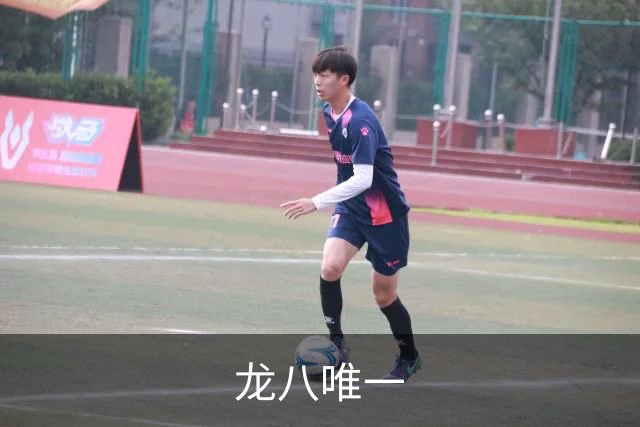 关于龙八唯一